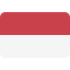 Endonezya
